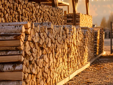 Ясеневые дрова, уложенные ровными рядами